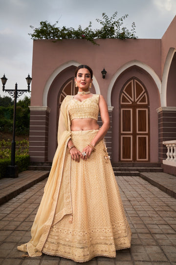 Wedding wear beige colour Lucknowi  Sequence work lehenga choli